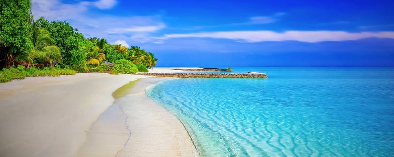 tropical paradise
